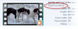 04-win7-quicktime-movie-support.png