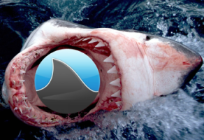 Grooveshark Among the Sharks