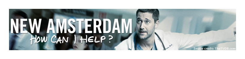 New Amsterdam banner artwork