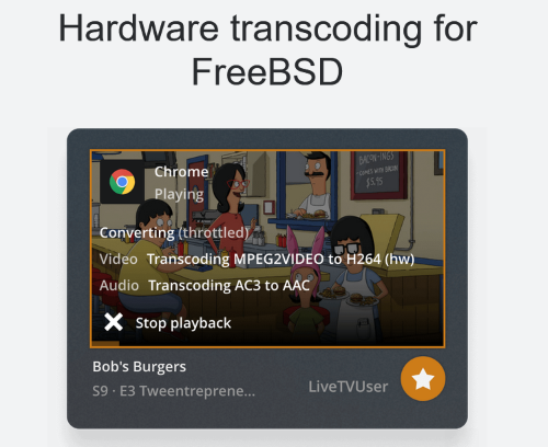 Plex adds hardware accelerated transcoding to FreeBSD installs ...